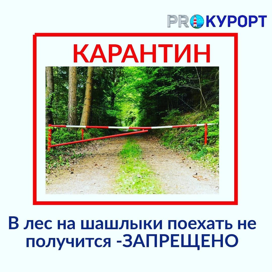 Поезжай к лесу. В лес не съездишь. Поехали в лес. Не поедешь в лес. Уехать в лес на неделю отдохнуть.