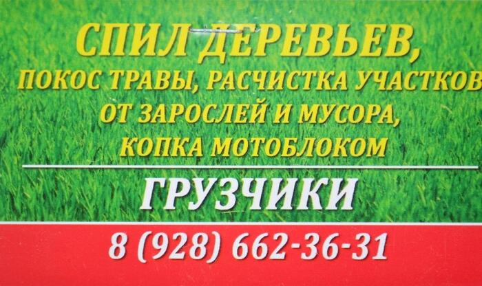Грузчики, спил деревьев